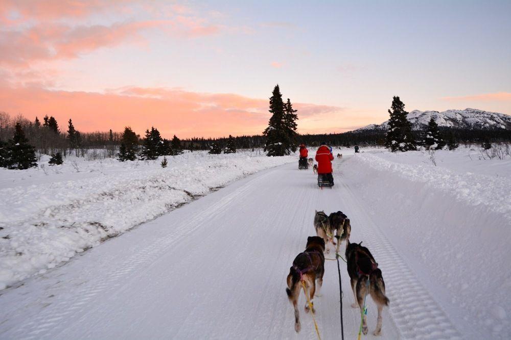 Sundog Retreat Hotel Whitehorse Eksteriør billede
