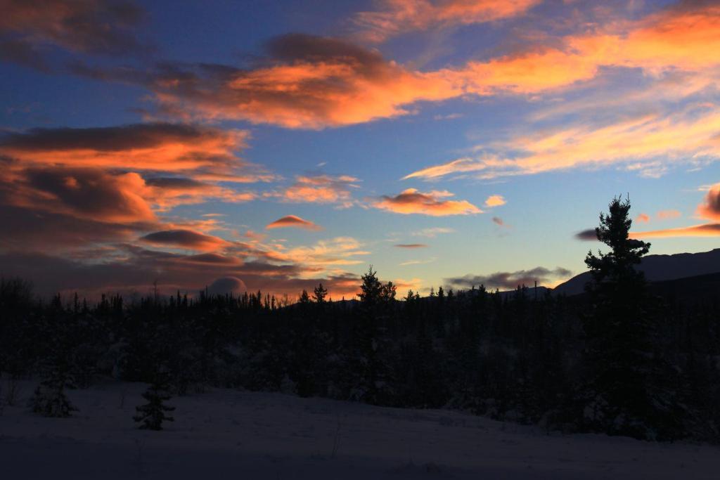 Sundog Retreat Hotel Whitehorse Eksteriør billede